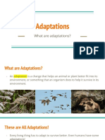 Adaptations