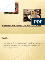 Fermentacion Del Cacao y Del Cafe