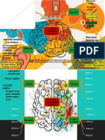 Mapa Mental Psicobiologia