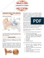 Alteraciones en La Audición