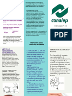 Rojo Amarillo Verde Colorido Alegre EscuelaEducación Apaisado Pliegue en C Folleto