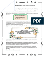 Diario Secundaria