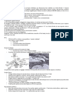 12 - Síndrome Vestibular Agudo 