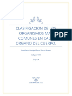 Clasifigacion de Los Organismos Mas Comunes en Cada Organo Del Cuerpo