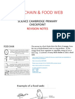 Foodweb Foodchain Science Primary Checkpoint Notes