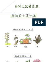 五年级单元： 植物的生命过程