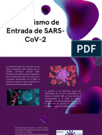 Mecanismo de entrada el SARS COV2