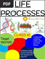 Class 10 Life Process Mind Map and Notes | PDF | Social Science ...