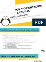 Vídeo-Tutoría 3 - Planificación de La Prevención de Riesgos (Tema 6 - UF2)