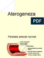 Aterogeneza Studenti An V