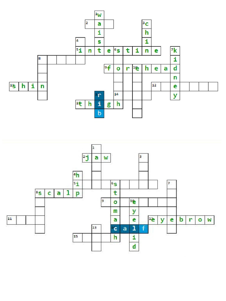 Body Parts Crossword PDF