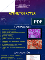 Seminario Microbiología. Acinetobacter X Barbara Arrioja y Ruby Fernandez