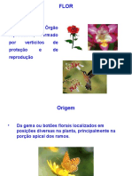 Flor: estrutura e partes