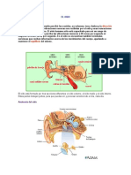 El Oido