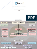 Sistema Circulatorio Mapas Conceptuales 192982 Downloable 1313682