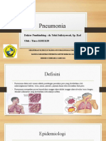 Pneumonia: Penyebab, Gejala, Diagnosis dan Pengobatannya