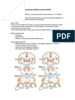 Procesamiento Auditivo Central (PAC) : Neuroaudiología