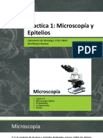 Practica 1 Microscopia y Epitelios