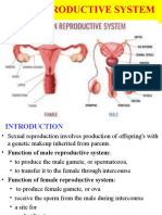 11 Reproductive System