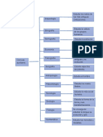 mapa conceptual