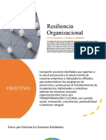 Resiliencia Organizacional