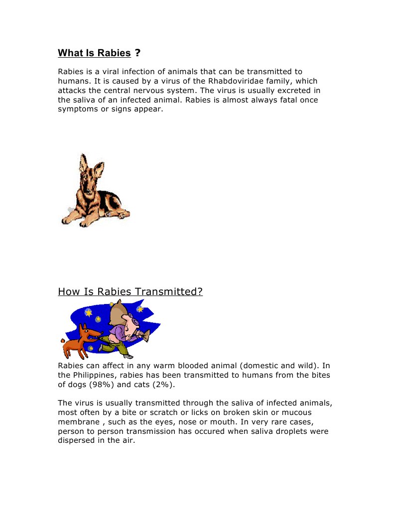 Understanding Rabies Transmission and Prevention | PDF | Self ...