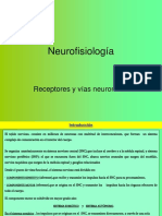 3 - Neurofisiologia2022