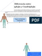 Diferencia Entre Paraplejia y Cuadriplejia