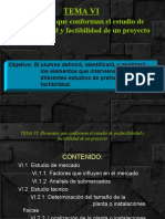 Tema Vi: Elementos Que Conforman El Estudio de Prefactibilidad y Factibilidad de Un Proyecto