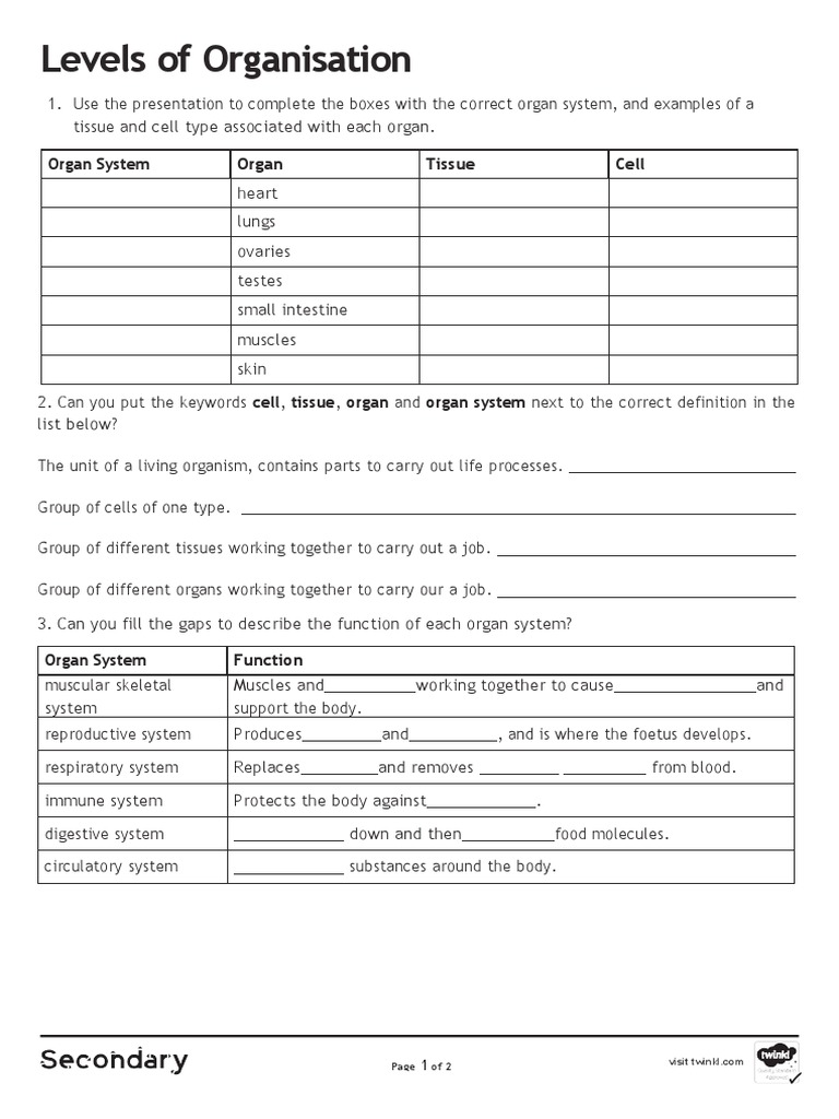 Levels of Organisation Lower Ability Activity Sheet PDF