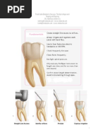 Dental Practicality Index for Restorability | PDF | Human Tooth | Dentistry