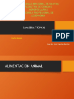 Semana 4 - Alimentacion Animal