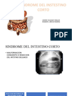 Sindrome Del Intestino Corto