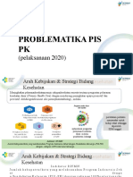 PROBLEMATIKA PIS PK (Pelaksanaan 2020)