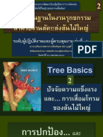 ธรรมศาสตร์-2-ความรู้พื้นฐานเพื่อการบริหาร-จัดการต้นไม้ใหญ่ 14เมษ64