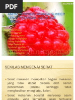 Download Ampas Raspberi Sebagai Sumber Serat Potensial Untuk Kue by arrida adhi zulfiah SN57751382 doc pdf