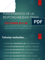 Fundamentos de La Responsabilidad Penal: Lecciones 23 Y 24