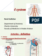 Arterial System Overview