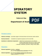 Respitatory System I. 2018