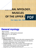 General Myology, Muscles of The Upper Limb: Petr Hájek, MD., PHD
