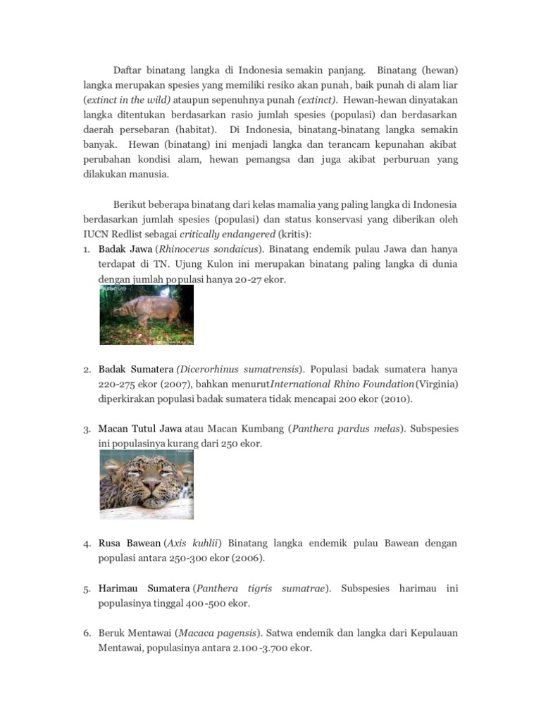 Daftar Binatang Langka Di Indonesia