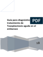 Ministerio-Salud-Neuquén_Salud-de-la-embarazada-Toxoplasmosis-2019 (1)
