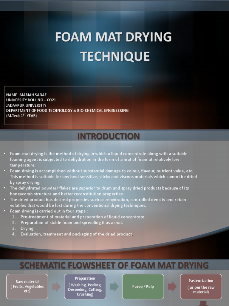 Foam Mat Drying Technique PDF Foam Colloid