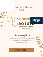 Guia de Estudo - Aula 1 - Prevenção