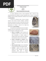 Resumo - 11º Ano - Rochas Sedimentares