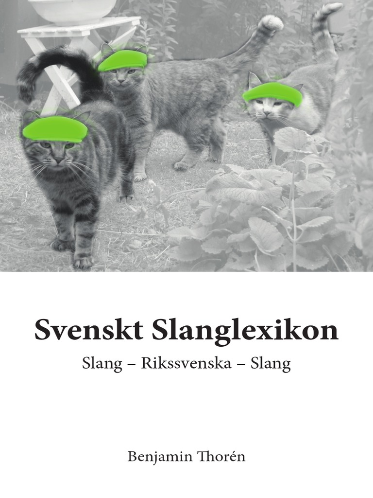 Svenskt Slanglexikon by Thorén, Benjamin PDF