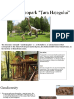 Dinosaur Geopark "Țara Hațegului": Zamfir Alexandra Maria Cl. A VII-a A