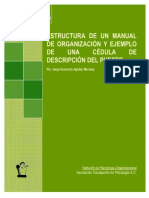 Estructuramanual Organizacion Cedula Descripcion Puestos