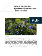 Jenis dan Contoh Perkembangbiakan Vegetatif Buatan pada Tanaman