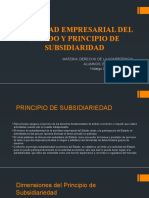 Actividad Empresarial Del Estado y Principio de Subsidiaridad